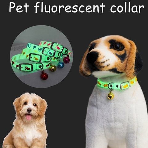 Pet Fluorescent Collar Prevents Loss at Night Silicone Case for Cats and Dogs Personalized Accessories Pet Products