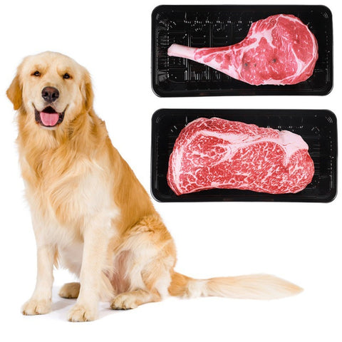 Funny Pet Dog Toys Squeaky Simulation Steak Toy For Small Dogs Bite Resistant Puppy Cat Chewing Molar Toys Pets Products #