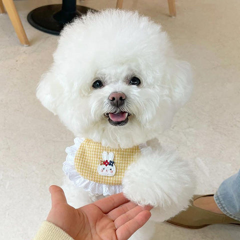 Cute Dog Bandana Scarf Korea Cute Dog Smiling Bib Pet